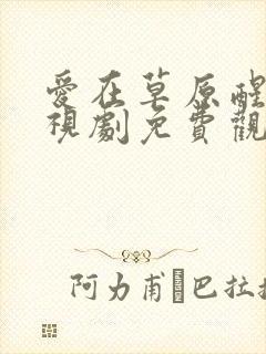 爱在草原醒来电视剧免费观看高清