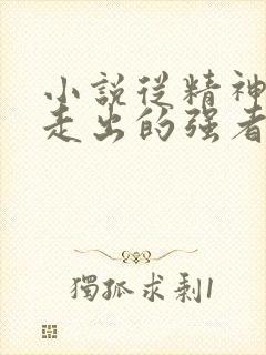 小说从精神病院走出的强者阅读封面