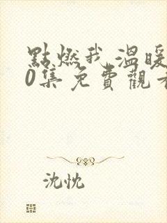 点燃我温暖你30集免费观看