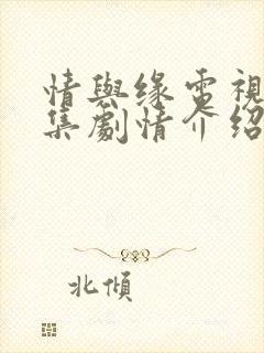 情与缘电视剧全集剧情介绍