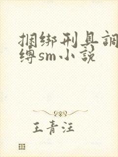 捆绑刑具调教束缚sm小说