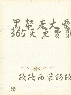 黑帮老大爱上我365天免费观看第二集