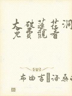 大破莲花洞电影免费观看封面