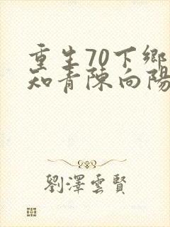 重生70下乡当知青陈向阳封面