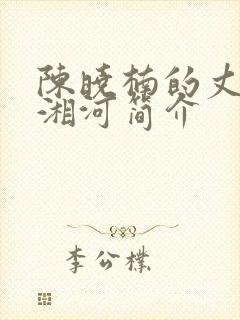 陈晓楠的丈夫潘湘河简介