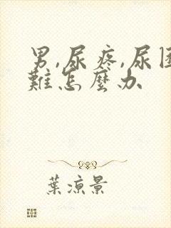 男,尿疼,尿困难怎么办