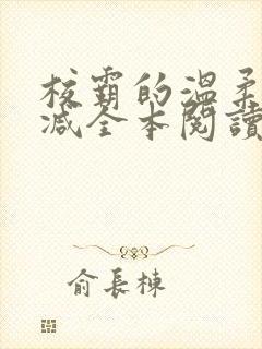 校霸的温柔无删减全本阅读
