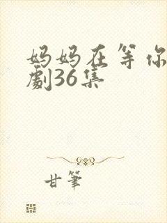 妈妈在等你电视剧36集