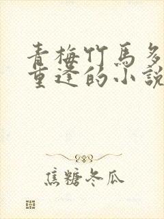 青梅竹马多年后重逢的小说