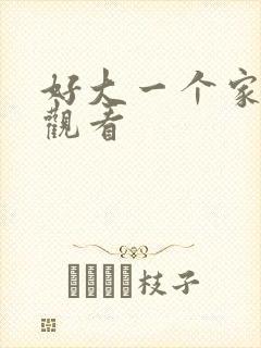 好大一个家在线观看