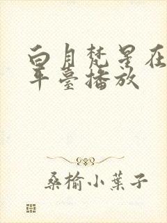 白月梵星在哪个平台播放