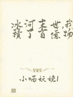 冰河末世,我囤积了百亿物资好看吗封面