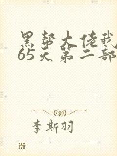 黑帮大佬我的365天第二部