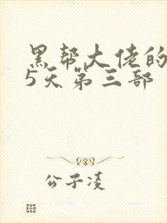 黑帮大佬的365天第三部