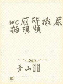 wc厕所撒尿偷拍视频