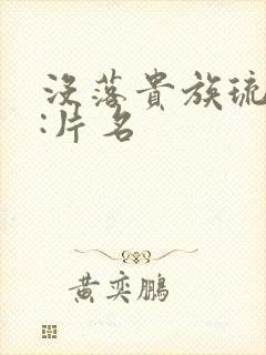 没落贵族琉璃川:片名