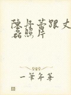 陈丹蕾跟丈夫何磊照片