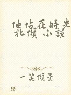 他站在时光深处 北倾 小说
