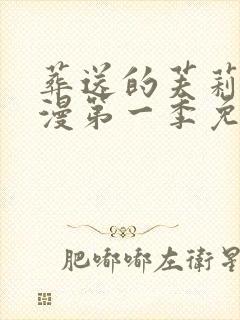 葬送的芙莉莲动漫第一季免费观看
