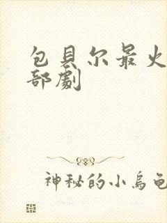 包贝尔最火的三部剧