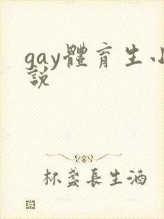 gay体育生小说封面