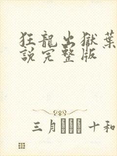 狂龙出狱叶风小说完整版
