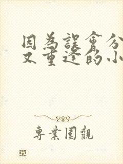 因为误会分开后又重逢的小说