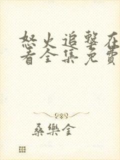 怒火追击在线观看全集免费高清电影下载