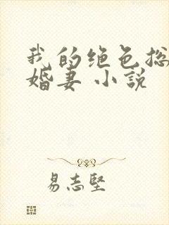 我的绝色总裁未婚妻 小说