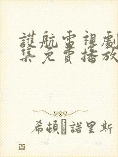 护航电视剧40集免费播放