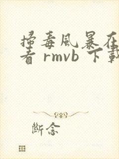 扫毒风暴在线观看 rmvb 下载