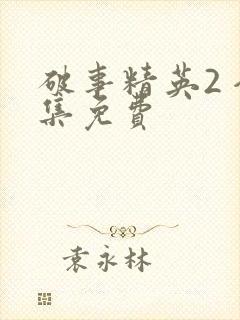 破事精英2 全集免费