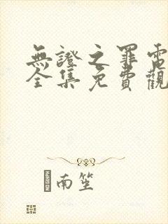 无证之罪电视剧全集免费观看