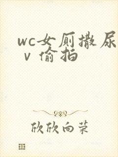 wc女厕撒尿七ⅴ偷拍