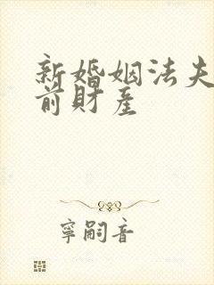 新婚姻法夫妻婚前财产