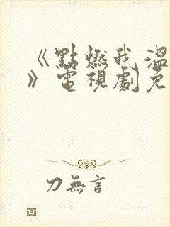 《点燃我温暖你》电视剧免费观看封面