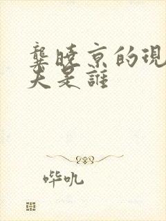 龚晓京的现任丈夫是谁