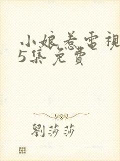 小娘惹电视剧45集免费