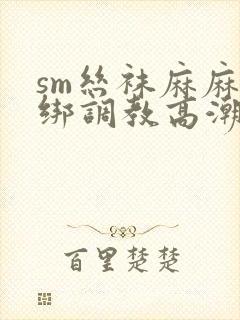 sm丝袜麻麻捆绑调教高潮