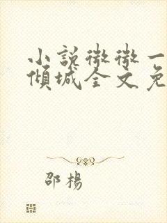 小说微微一笑很倾城全文免费阅读封面