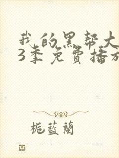 我的黑帮大佬第3季免费播放在线观看