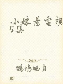 小娘惹电视剧45集