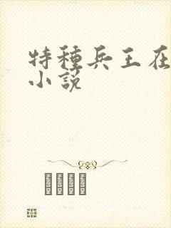 特种兵王在山村小说