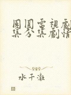 团圆电视剧40集分集剧情介绍封面