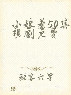 小娘惹50集电视剧免费