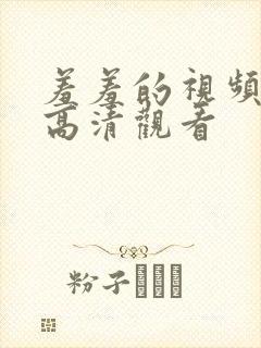 羞羞的视频免费高清观看