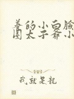 养的小白脸是京圈太子爷小说