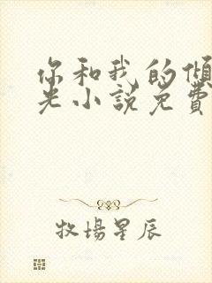 你和我的倾城时光小说免费阅读全文