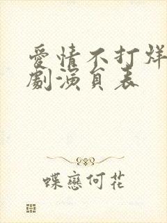 爱情不打烊电视剧演员表
