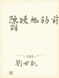 陈晓旭的前夫是谁